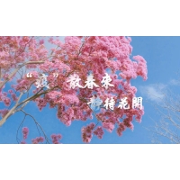 疫散終有時(shí)，春暖花自開-科明致敬每一個(gè)認(rèn)真防疫的東莞人